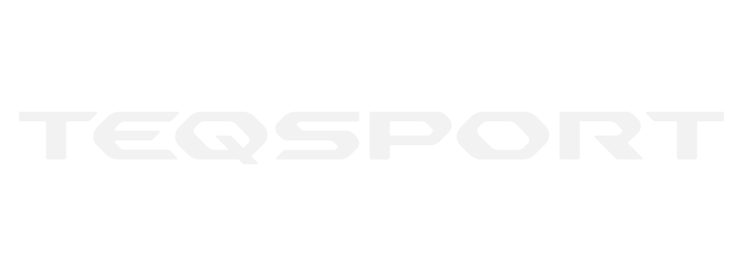 Z1 Motorsports Logo